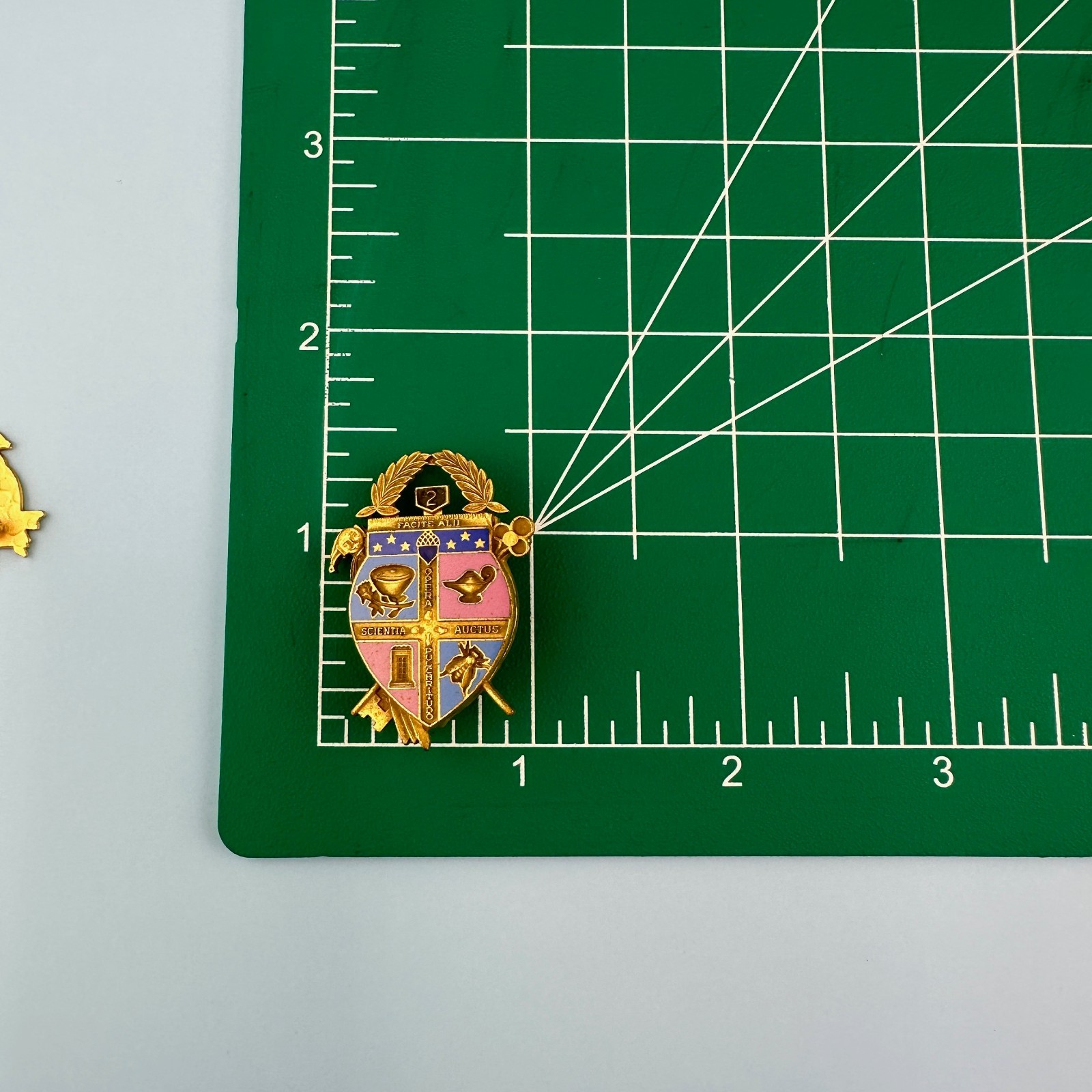 Vintage Coat of Arms Pin Lot Gold Tone Facital Scientia Auctus Opera Pulchritudo