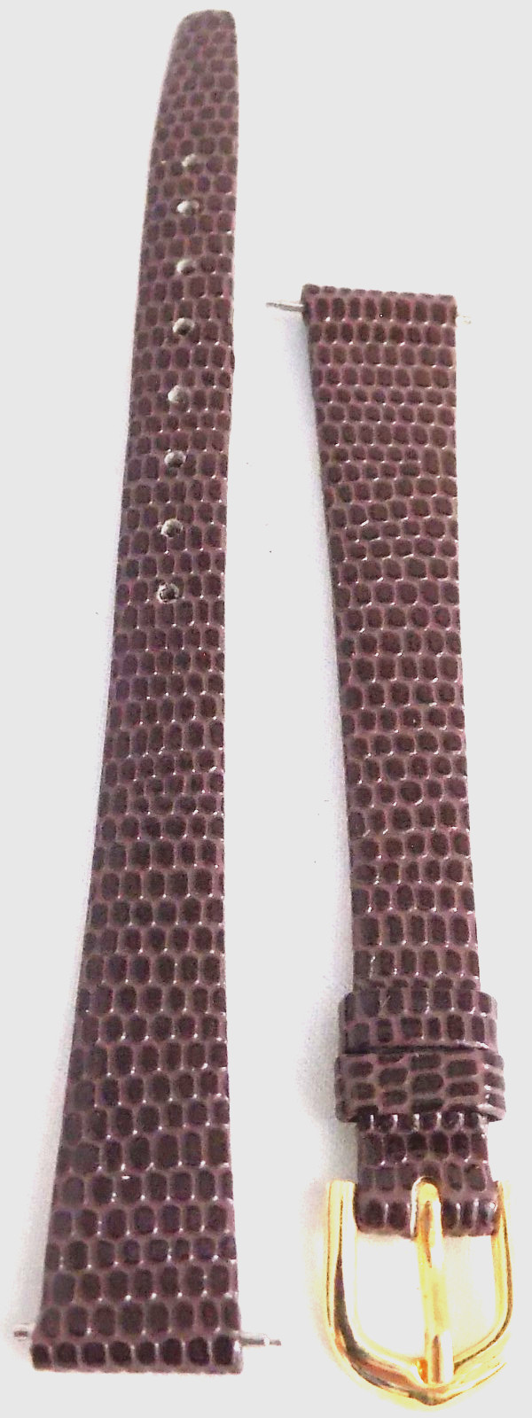 7 5/8″ 194mm Long 10mm Brown Simulated Lizard Grain Watch Band Gold Tone Buckle