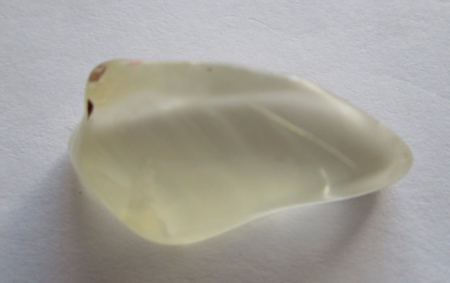 16.55 ct Tumbled Natural Oregon Sunstone Rough, Photographed Dry, Single Piece