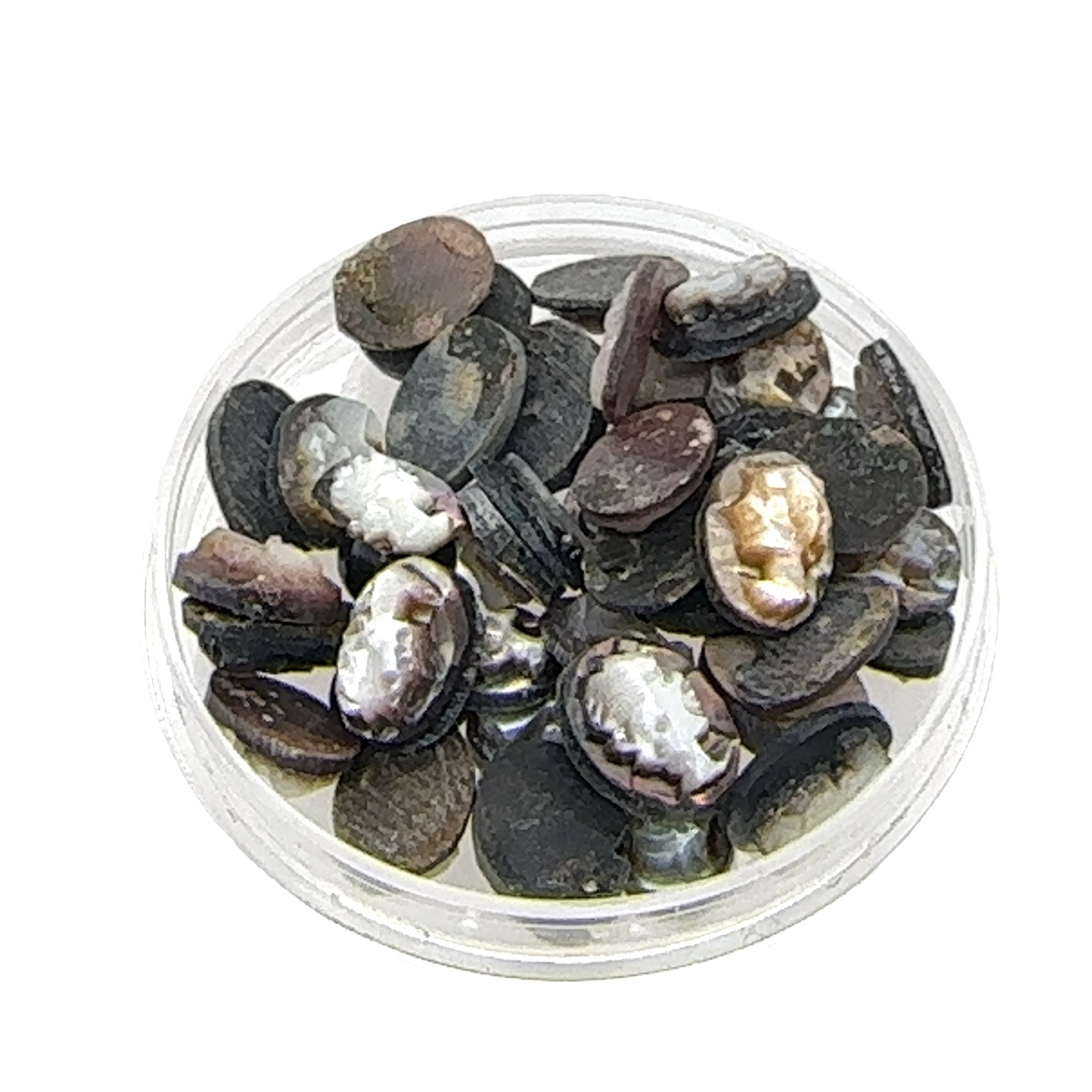 Cameo Abalone Carved Natural Finding Left & Right Pair 20 PCS 7.9 x 6.1 mm 61-10