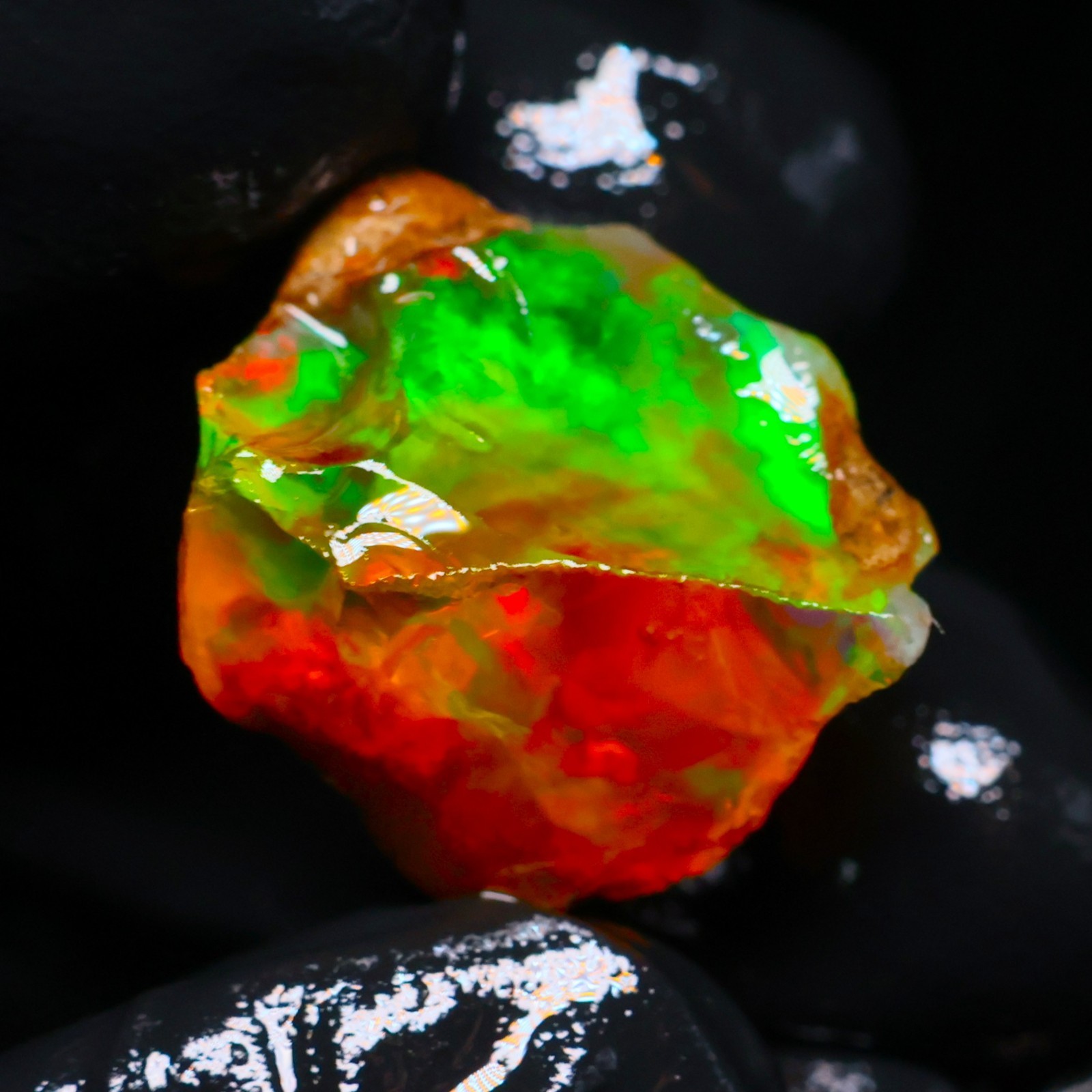 Natural Ethiopian Welo Opal Rough 15.65 Ct Gemstone – Bright Play of Color Fire