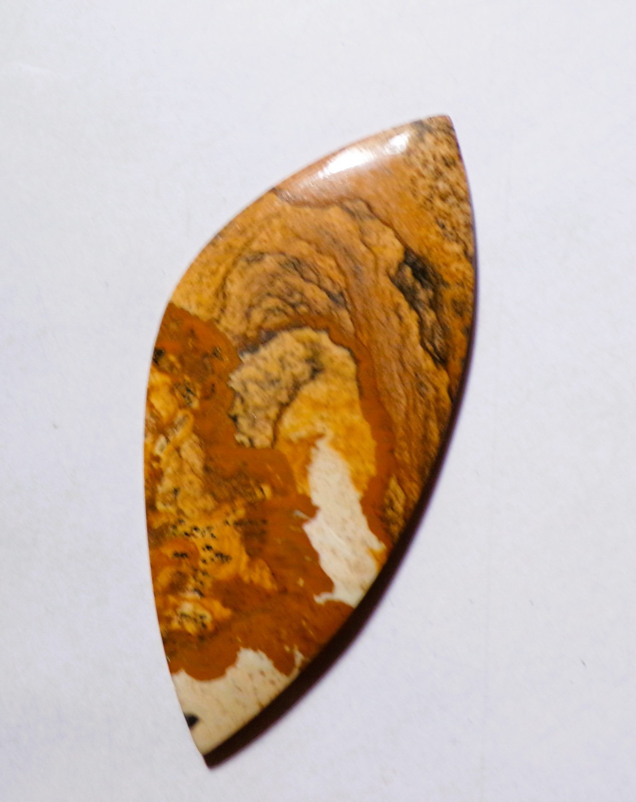 60.00 Cts Natural Picture Jasper Cabochon Loose Gemstone 68X30.4X4MM