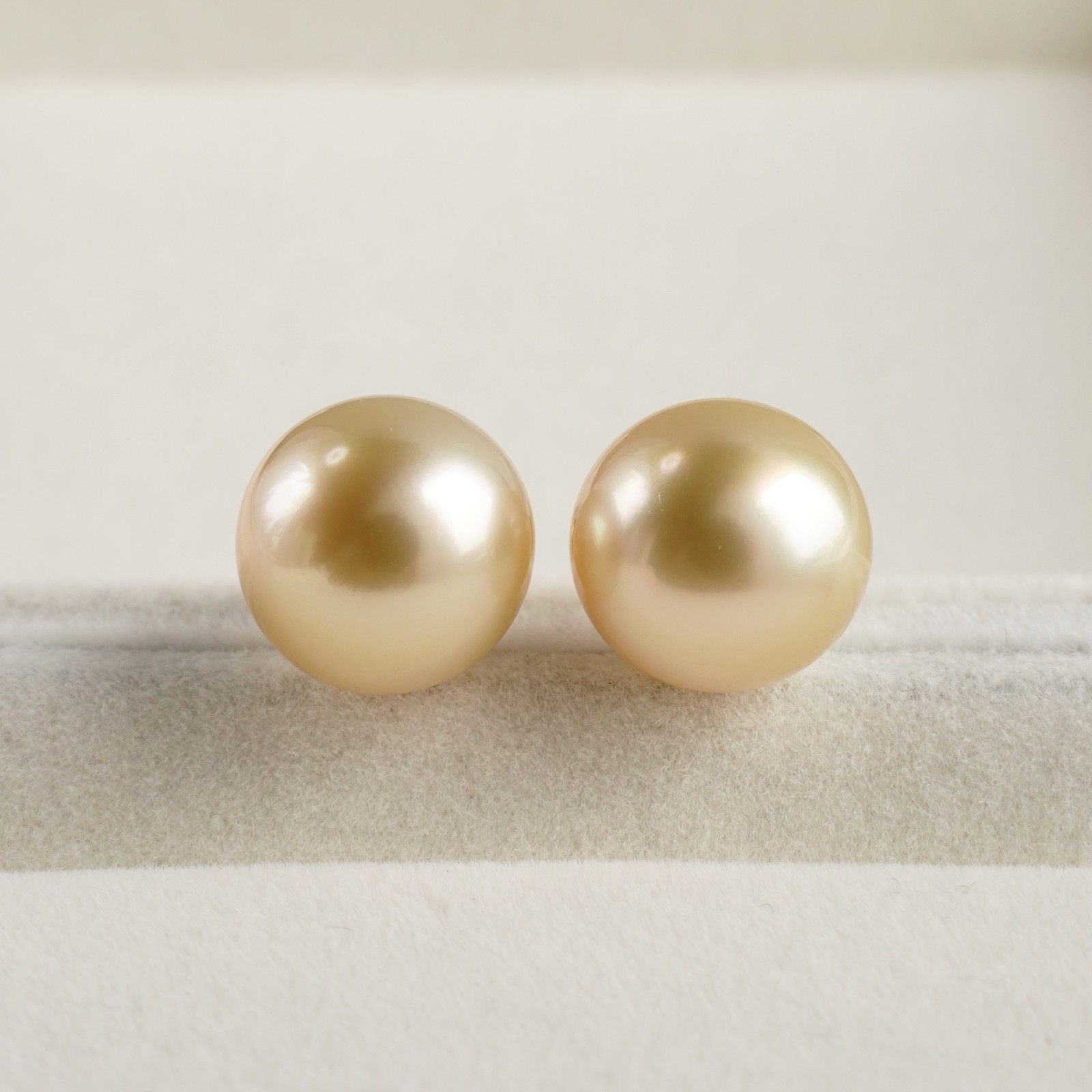 Big 11.6mm Round Light Gold South Sea Pearl Stud Earrings 10K Yellow Gold