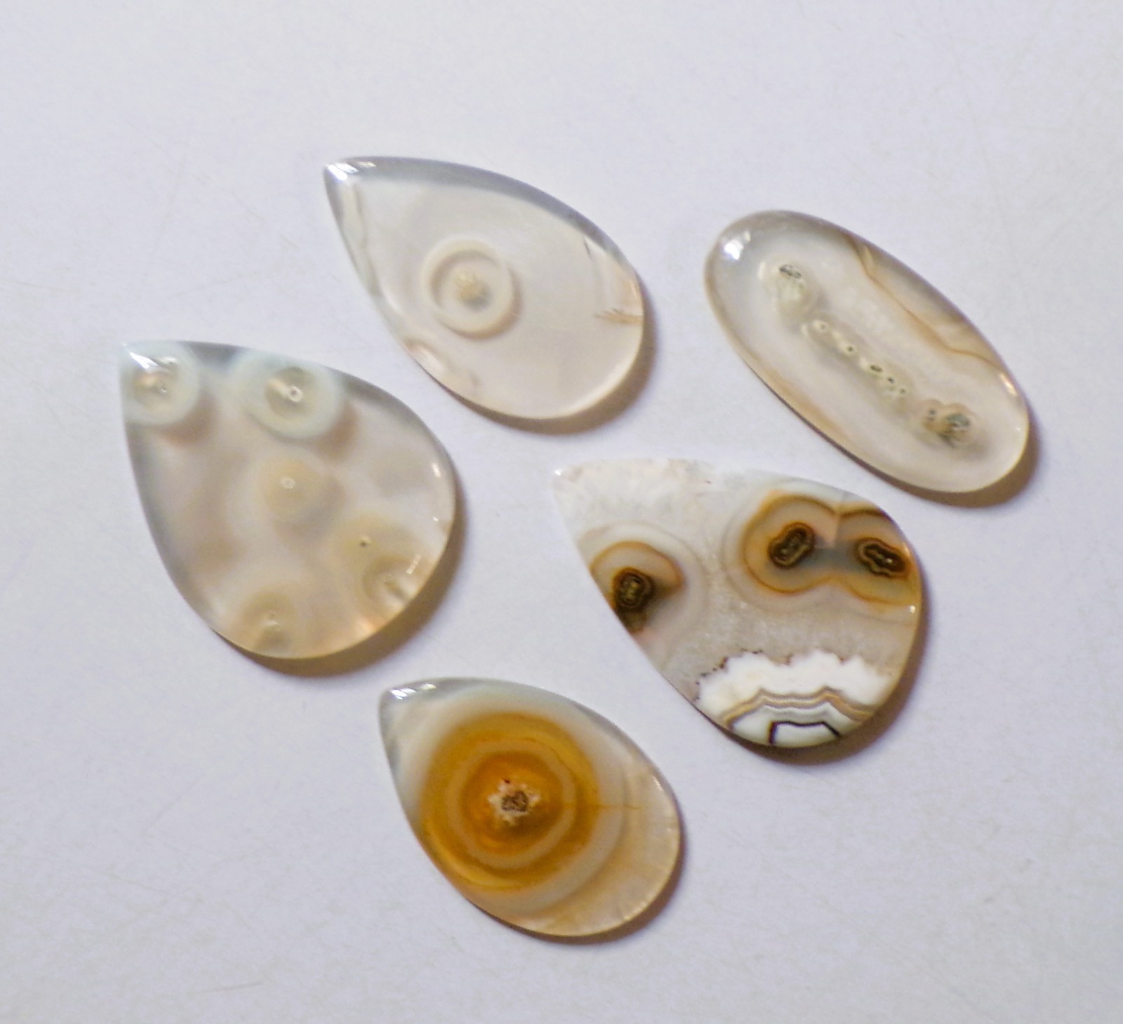 143.00 Cts Natural Orbicular Agate 05 Pcs Lot Loose Cabochon Gemstone 06