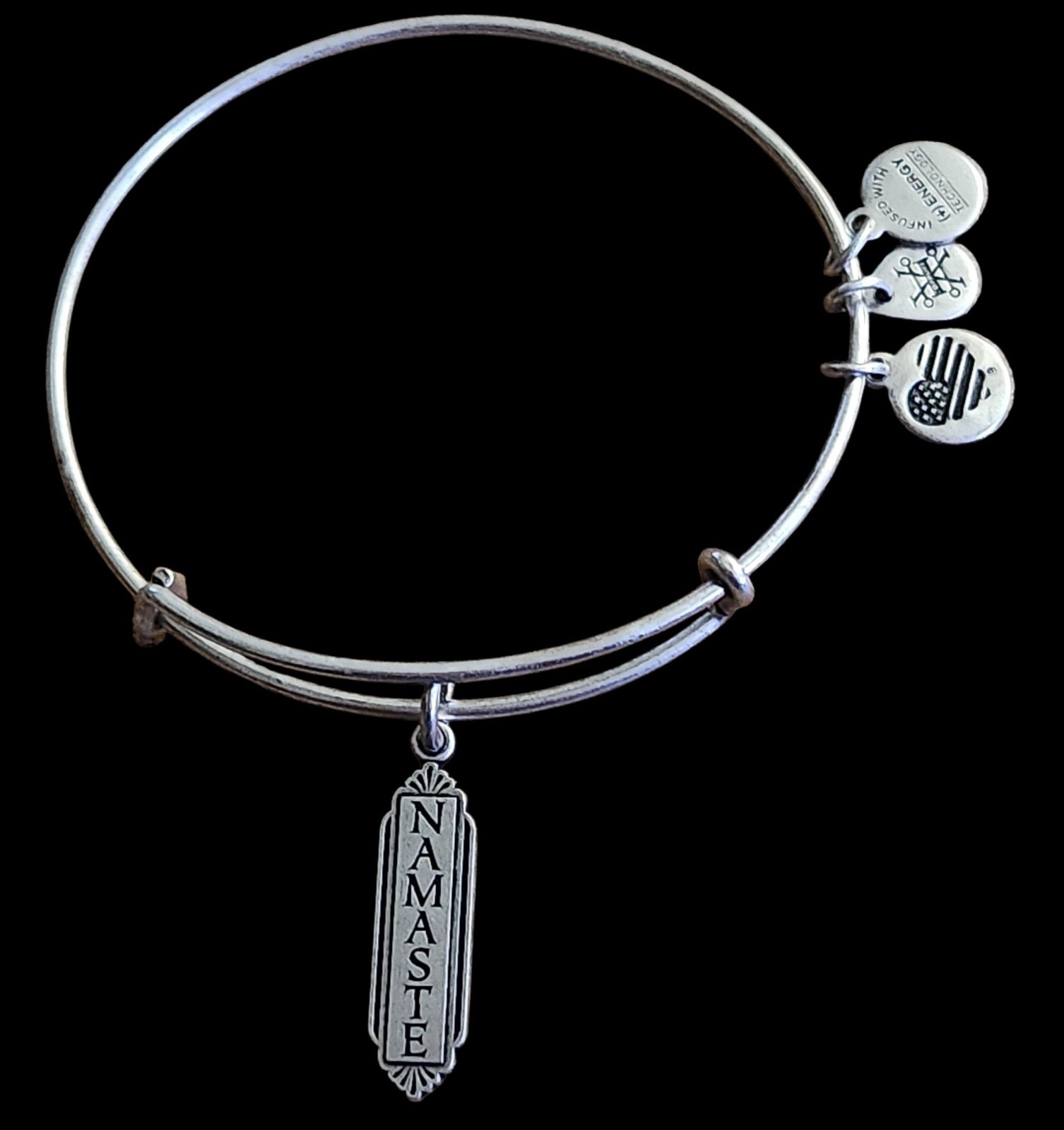 NWOT Alex And Ani Namaste Rafaelian Silver Charm Bangle Bracelet (1)