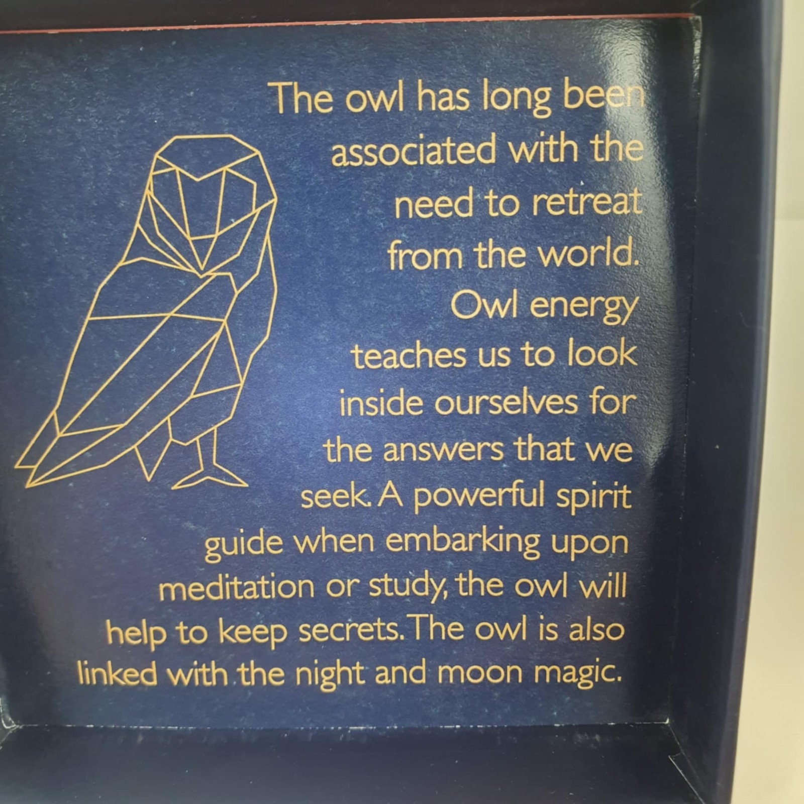 Mystical Owl Pendant Necklace In Gift Box – Ideal Teacher Of Christmas Gift