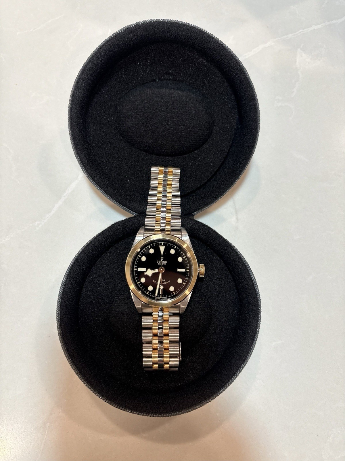Tudor Black Bay 36 S&G 79503 Two-Tone Steel & Gold Automatic Watch 36mm