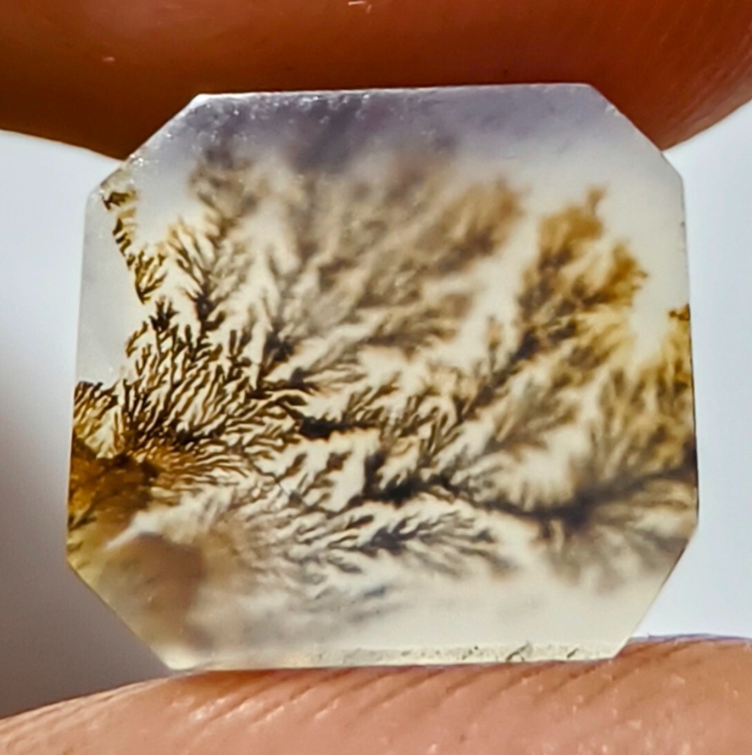 1.90 Cts Natural Shazar Dendritic Agate Cabochon Gemstone 9.5×8.4×2.1 MM 111