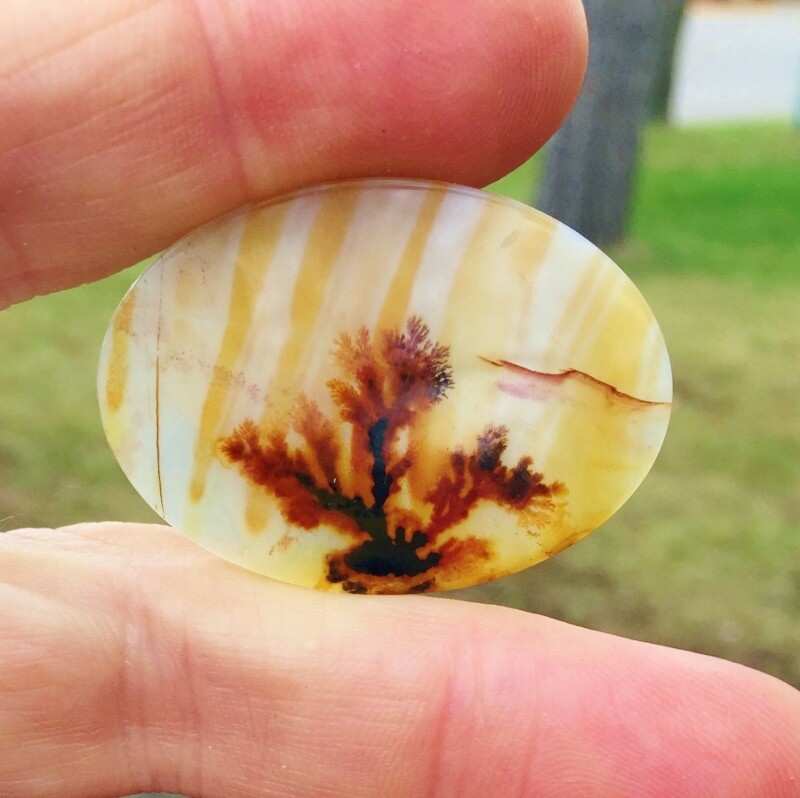 All Natural! Extra Fine Quality Dendritic Agate India GLI