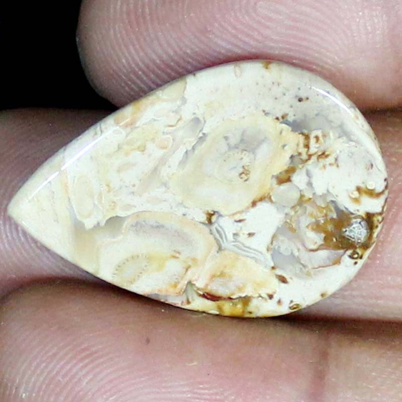 22.60 CT Natural Petrified Wood Agate PEAR Cabochon , Petrified stone 21x30x5 mm