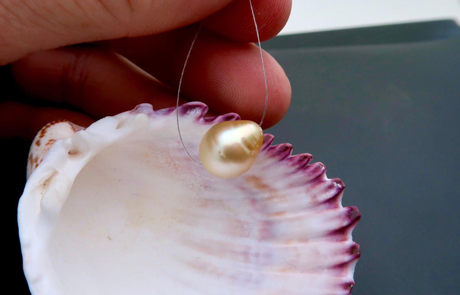 EXOTIC GENUINE METALLIC GOLD SOUTH SEA PHILIPPINES CULTURED AA+ PEARL – 10.8mm