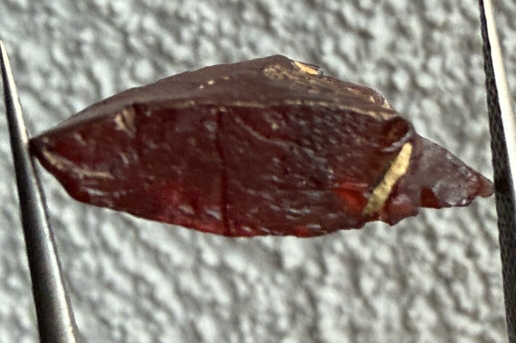 8.9 Ct Natural Garnet