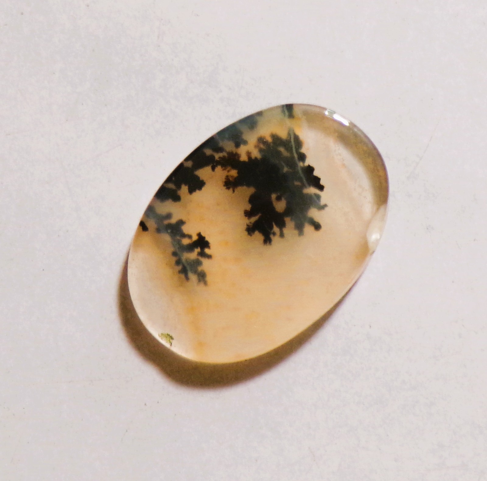 11.70 Cts Natural Shazar Dendritic Agate Cabochon Loose Gemstone 22X16X3.9MM 185