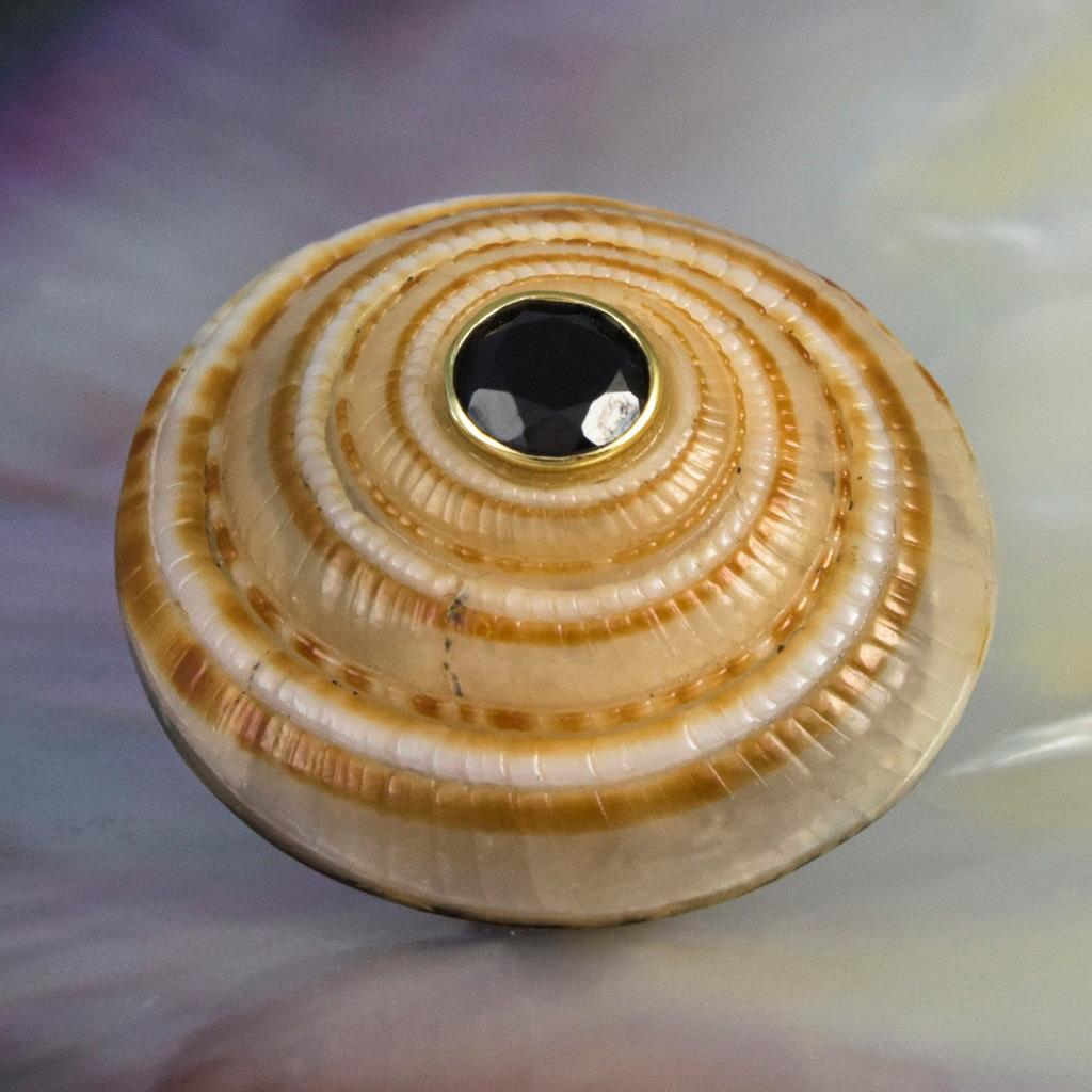 Evil Eye Design Natural Sea Snail Architectonica trochlearis Black Spinel 6.00g