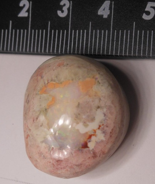 49ct Mexican Fire Opal 25 x 21 x13mm Large Size Freeform Cantera