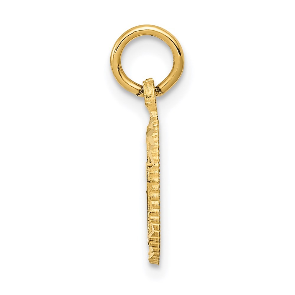 14K Yellow Gold Eternal Life Cross in Circle Charm; Women & Men
