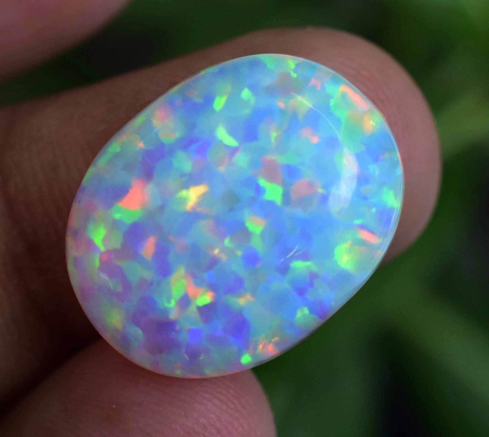 15.75 Ct Natural Ethiopian Fire Opal Certified Play of Color Untreated Gemstone