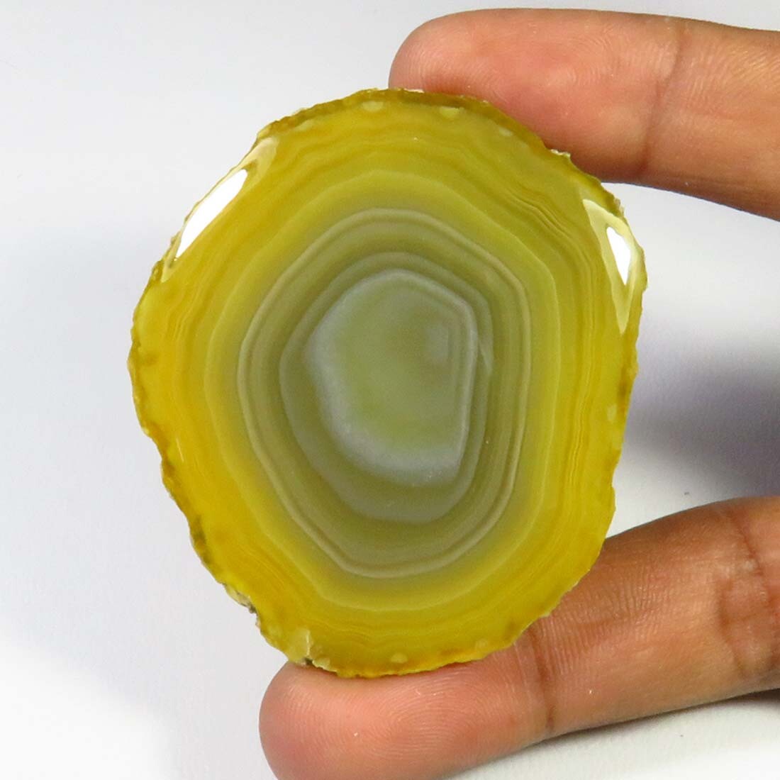 Genuine Slice Agate Cabochon Slice Brown Gemstone Geode Loose 53x44mm SCL-1173