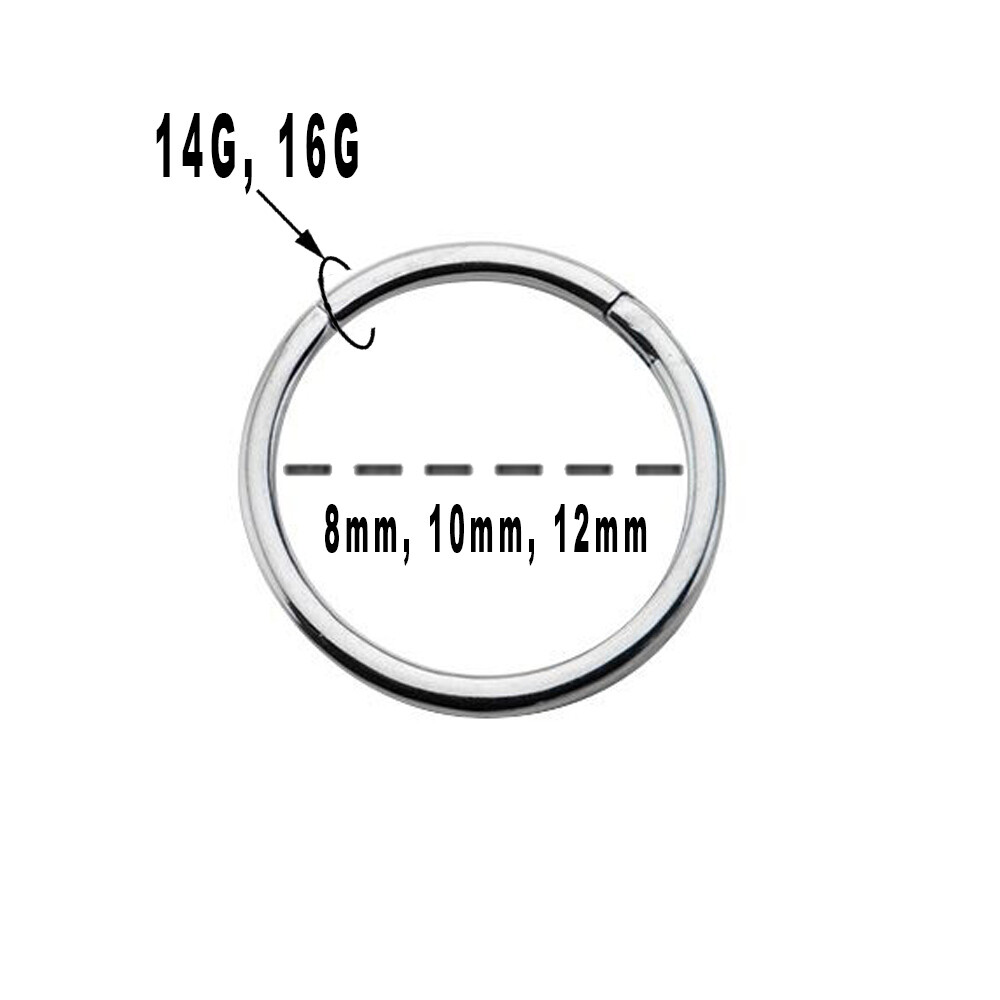 16GA 14GA Seamless Hinged Segment Rings Nose Lips Nipple Septum Nose Piercings