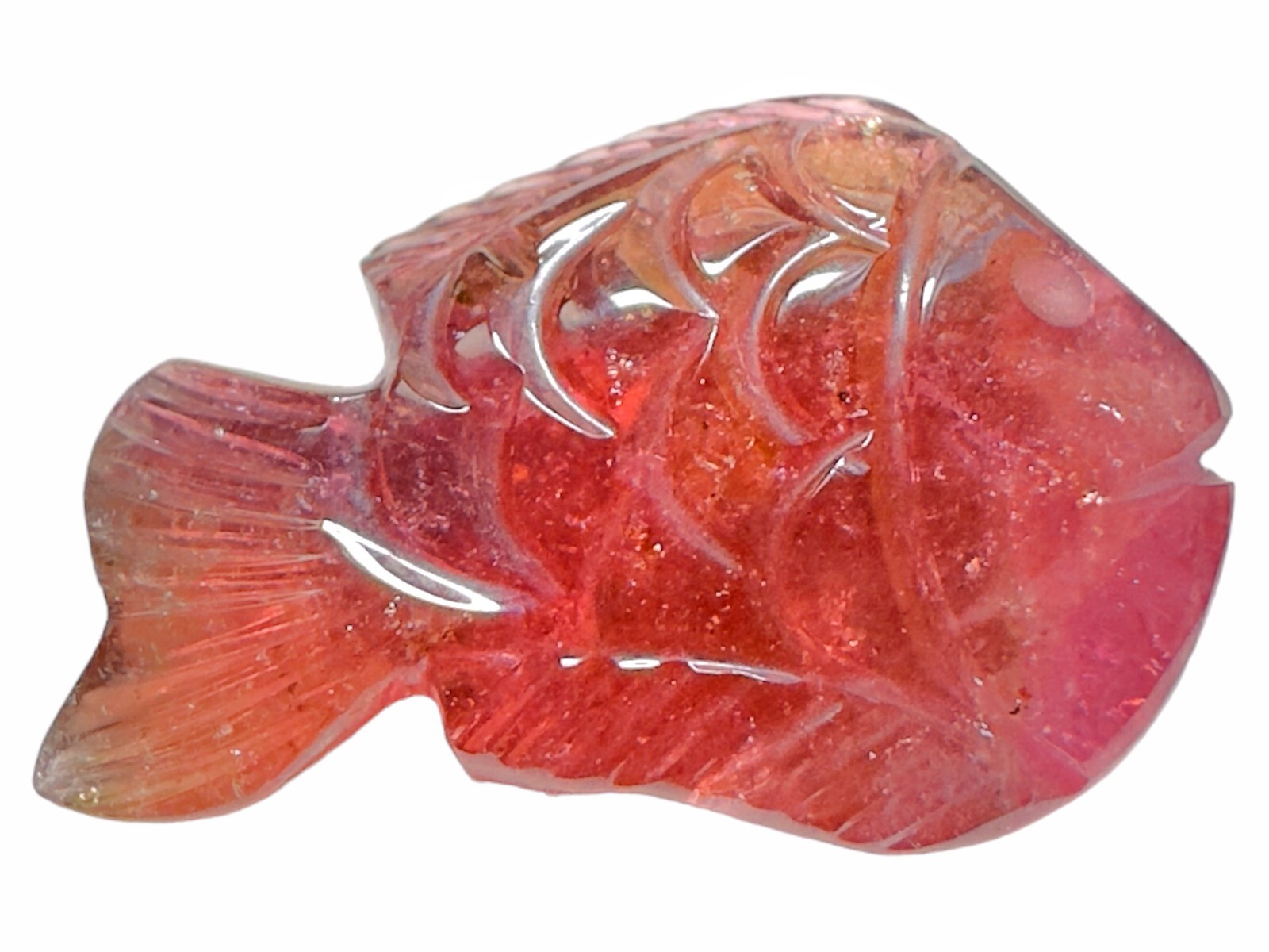 Tourmaline fish carvings, Tourmaline carved fish, Bicolor tourmaline carvings, F
