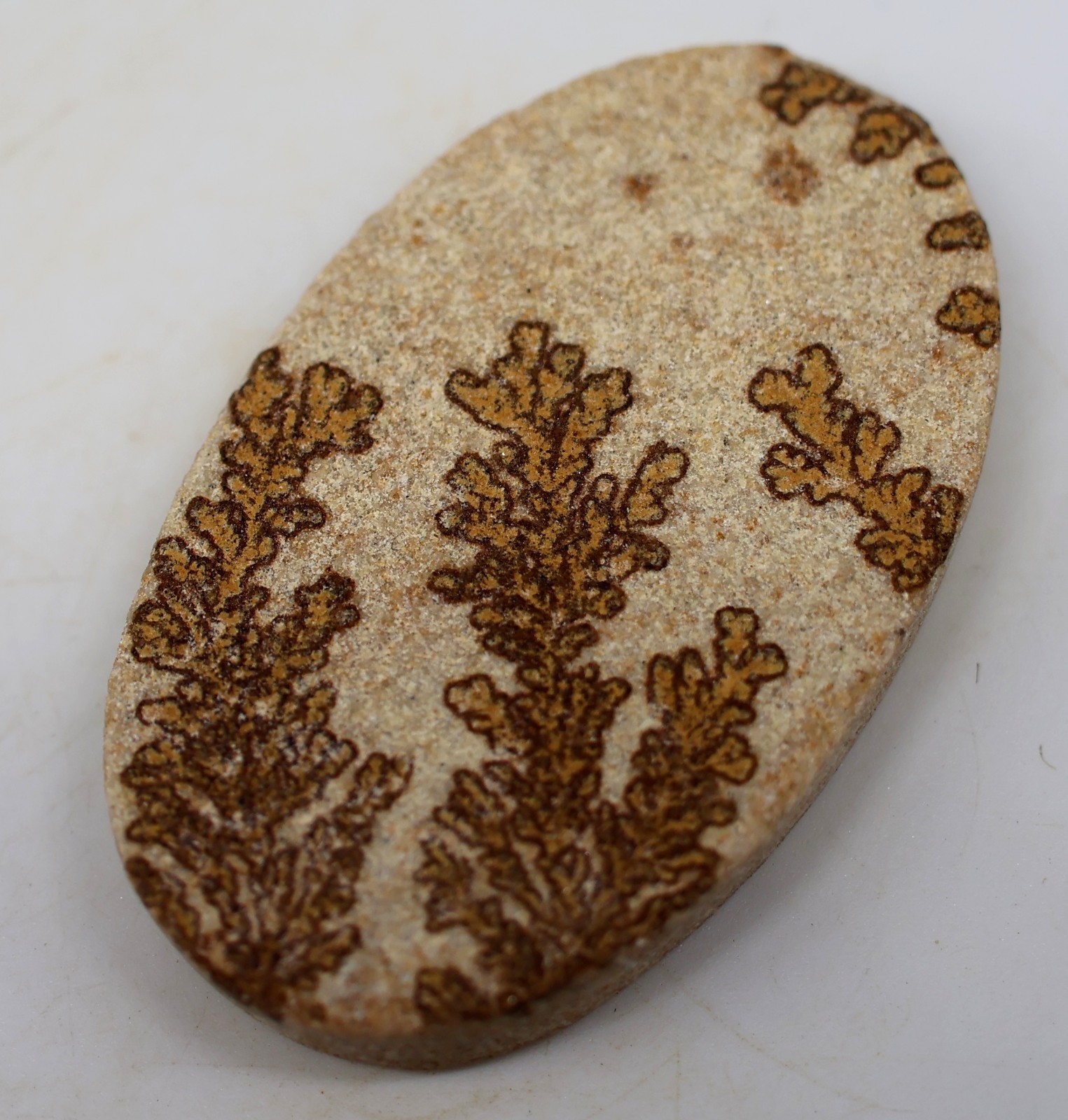 50 Ct 6X25X42 mm Natural Psilomelane Dendrite Oval Cabochon Gemstone PT-164