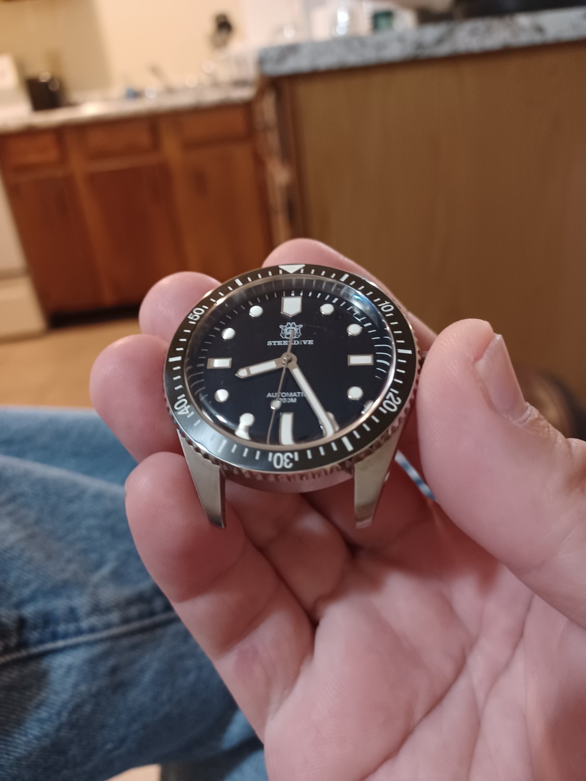 Steeldive dive watch