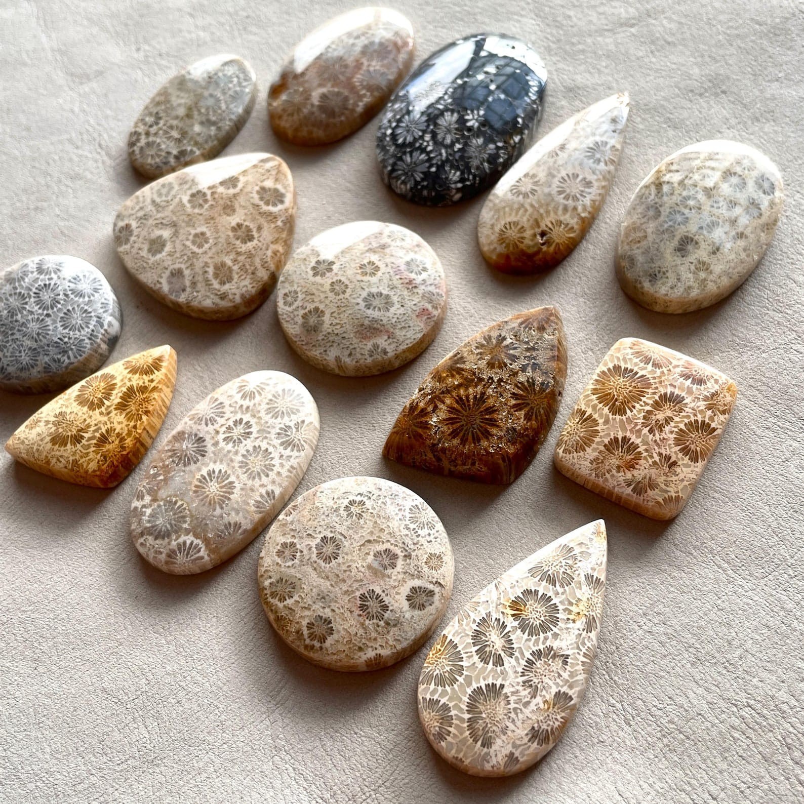 Natural Fossil Coral Cabochon Indonesian Fossilized flat back flower Gemstone