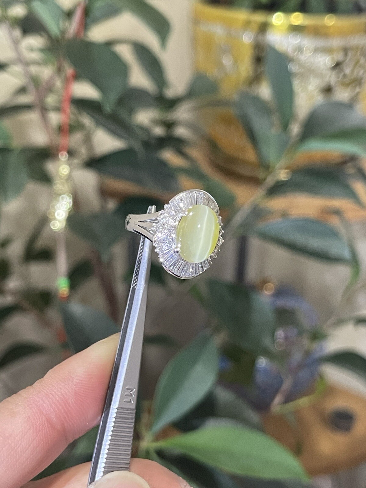 GIA 3.29ct Natural Chrysoberyl Greenish Yellow Cats Eye Ring 1.38ct diam,pt900