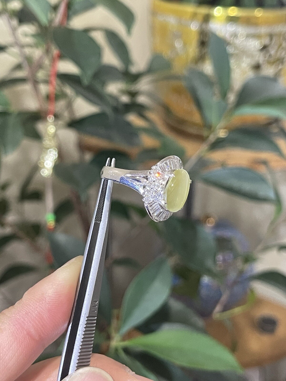 GIA 3.29ct Natural Chrysoberyl Greenish Yellow Cats Eye Ring 1.38ct diam,pt900