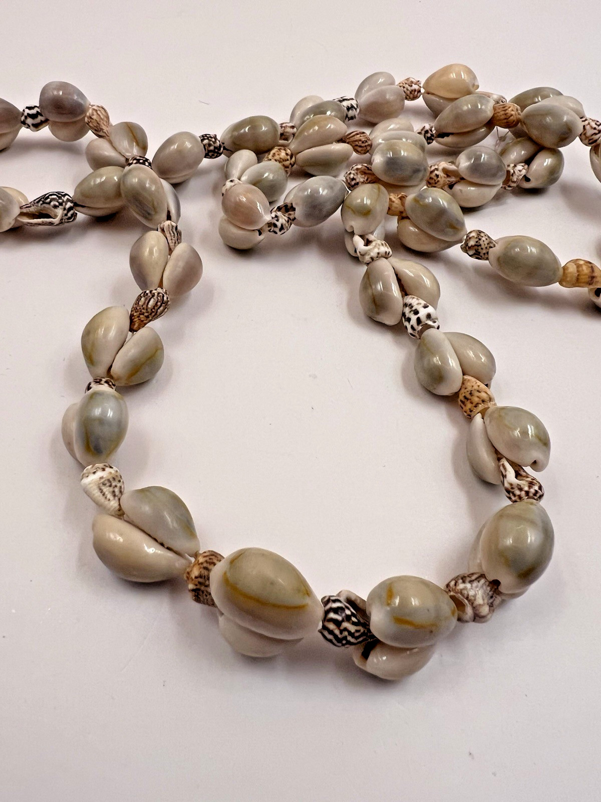 Vintage Beach Necklace Cowrie Conch Shell Seashells Phillipines 30″ Long Length