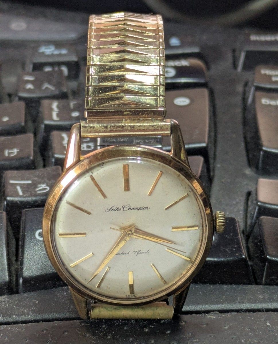Seiko Champion Diashock 17 Jewels 20 Microns EGP Antique