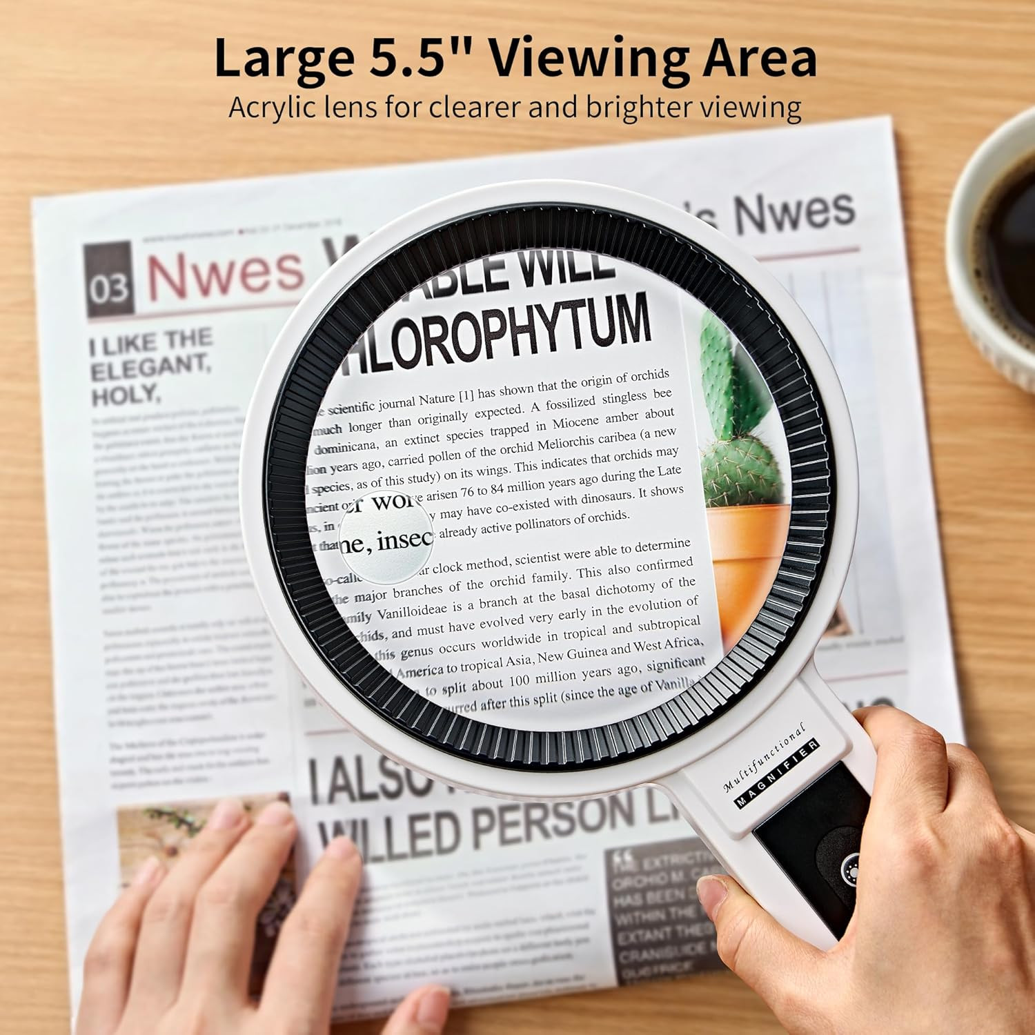 5.5-Inch Magnifying Glass with Light and Adjustable Stand for Seniors