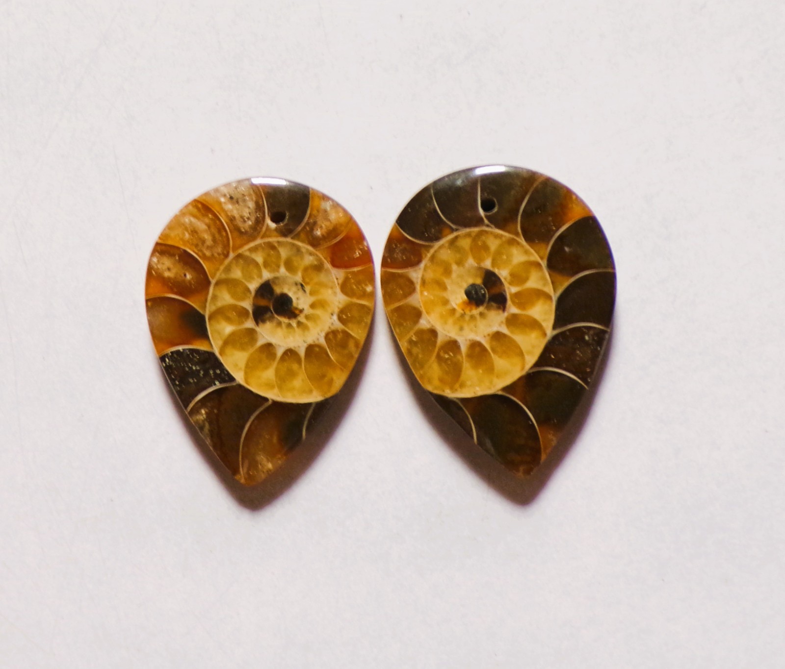 42.00 Cts Natural Ammonite Drilled Cabochon Match Pair Gemstone 27X20MM 180