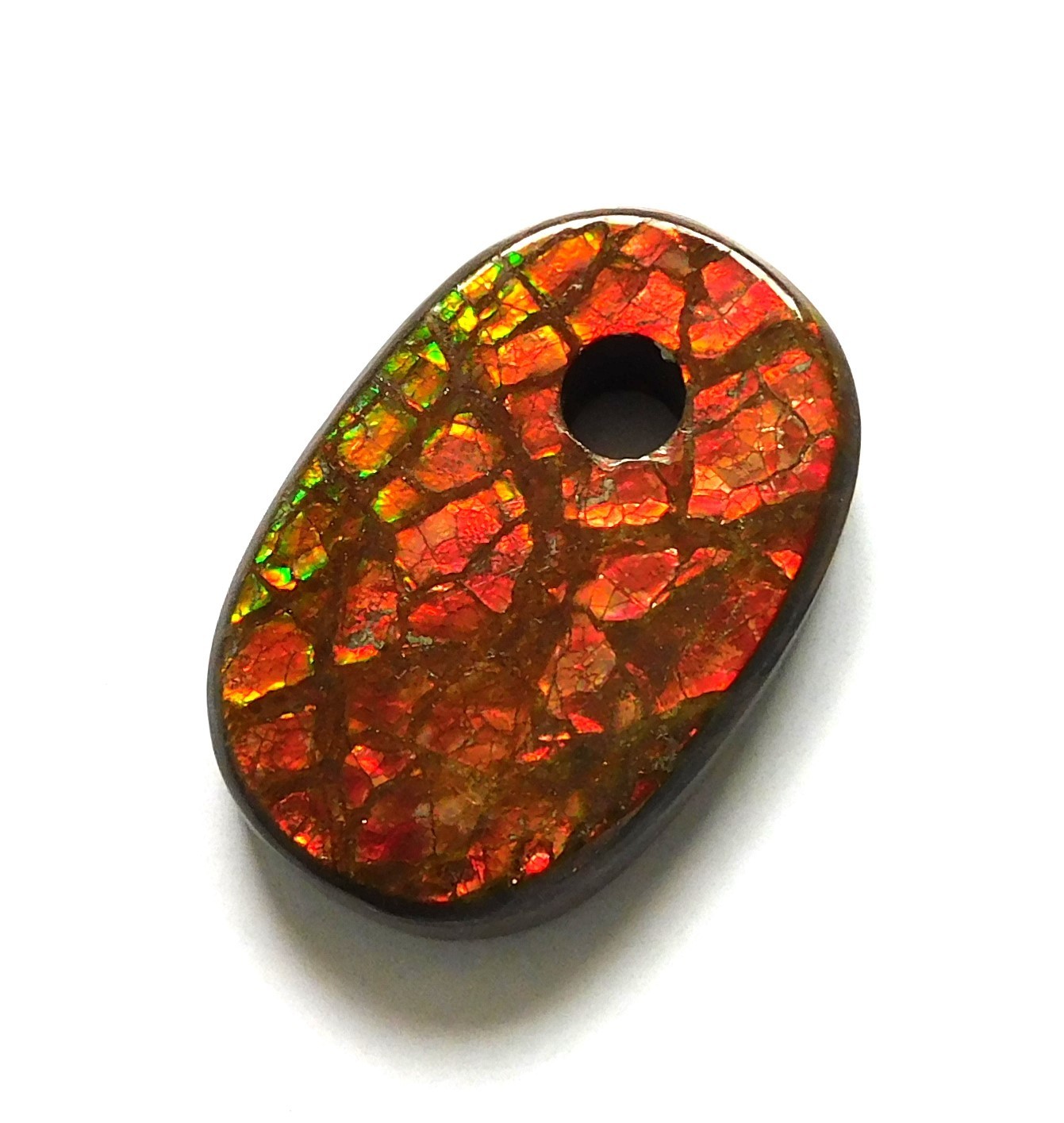 28.75 Ct Natural Canadian Ammolite Donut Gemstone 25.6X17X5.3MM FA58