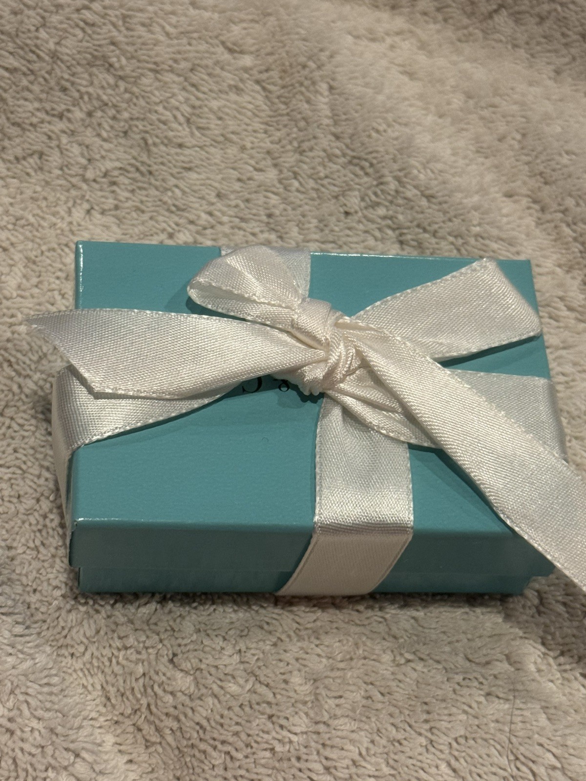 Tiffany & Co Sterling Silver Horseshoe Style Key Ring w/UMDNJ Charm Pouch & Box