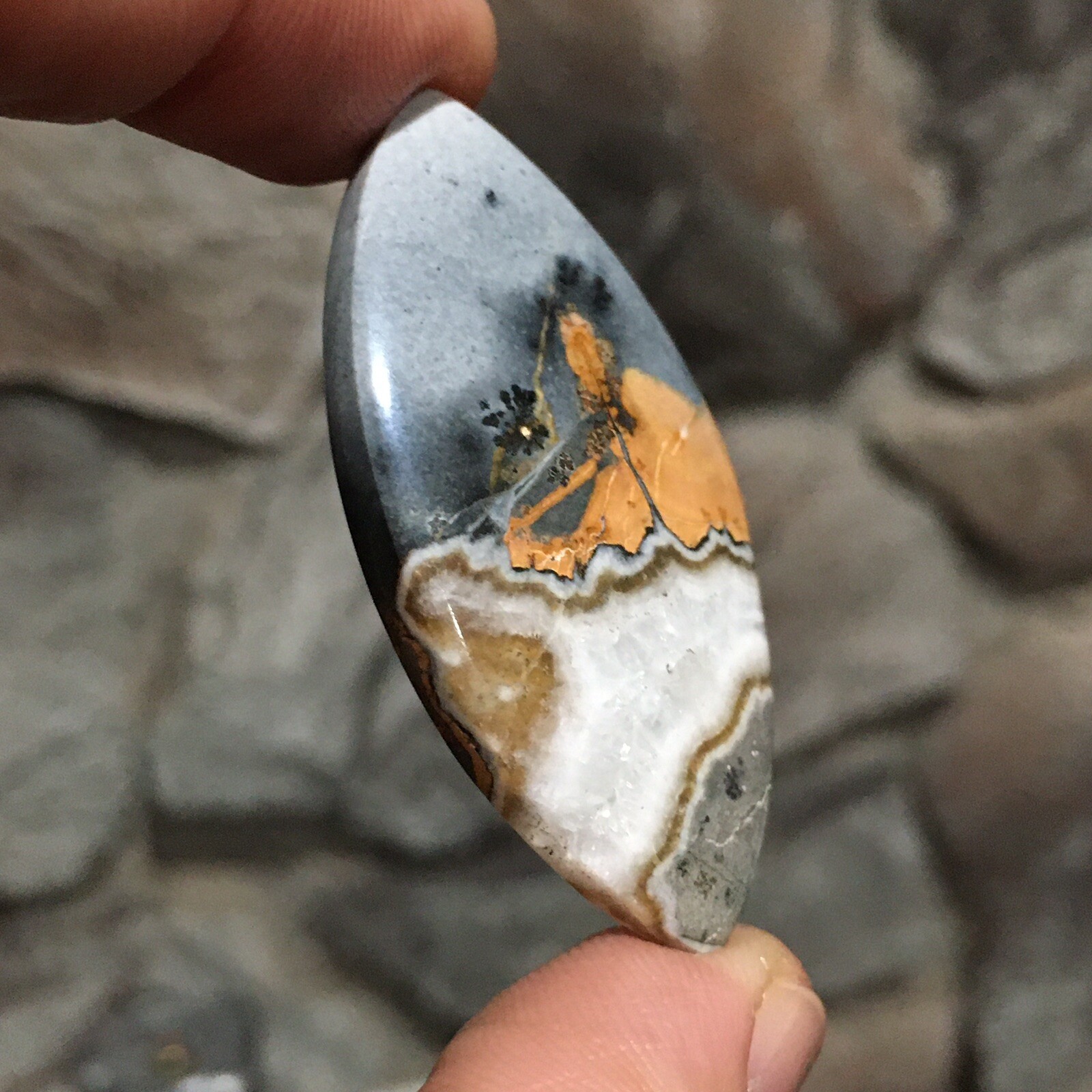 48×23.5×6.9mm Scenic Maligano Jasper Oval Cabochon Collectors Picture Stone