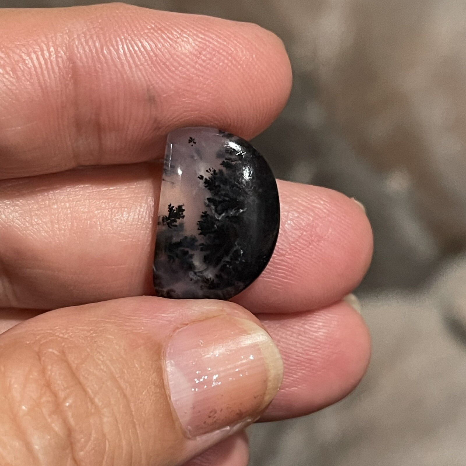 7ct 19.3x13x4mm Fine Dendritic Agate Smooth Cabochon Loose Picture Stone