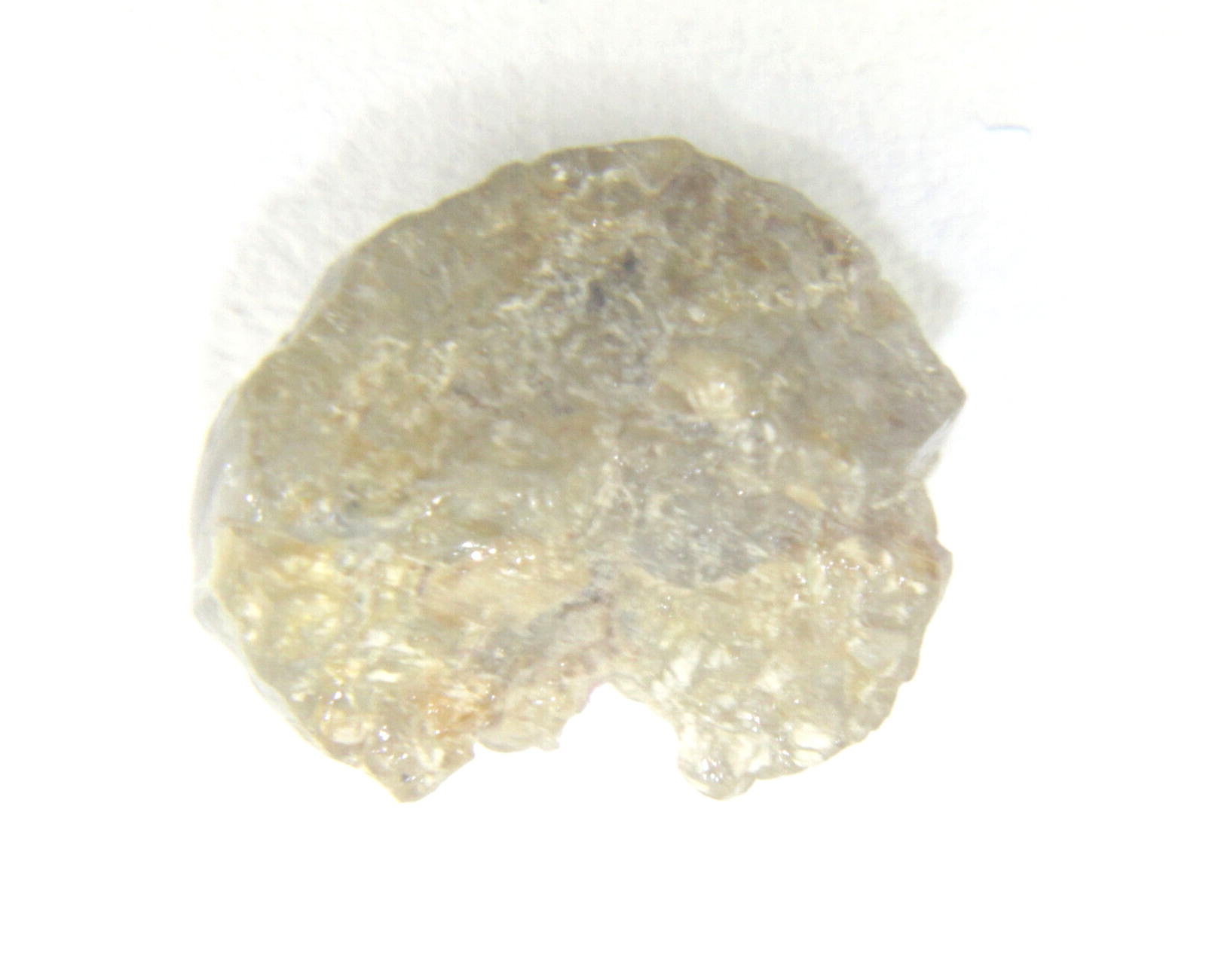 1.63 CTS NATURAL REAL RAW UNCUT GREY ROUGH DIAMOND 7.69×6.73×4.52 MM