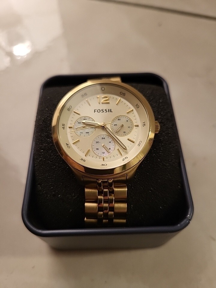 Fossil Editor ES3248