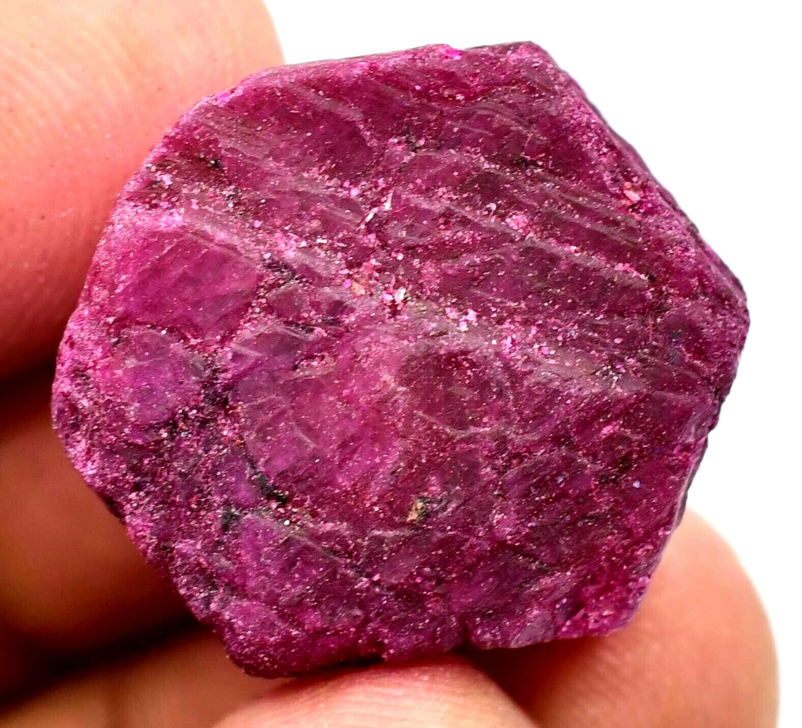 53.15 CT Natural Huge Mozambique Red Ruby 23 mm Certified Loose Treated Gemstone