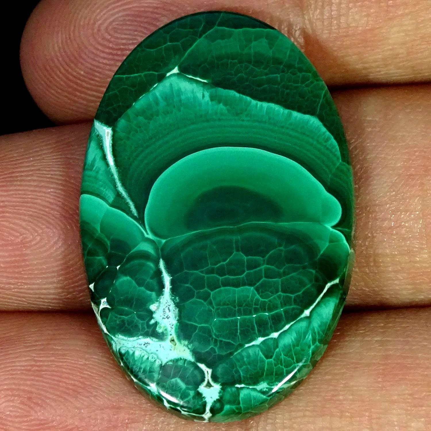43.50Cts Natural Designer Malachite Oval Cabochon Gemstone 22X34X4MM