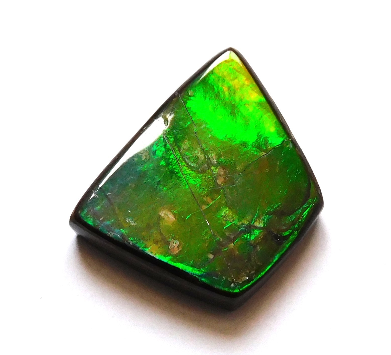 11.70 Ct Natural Canadian Ammolite Cabochon Loose Gemstone 18.8X14.9X4.3MM LF51