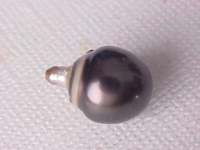 10.2MM X 14MM AAA GENUINE TAHITIAN PEARL HALFDRILLED #243
