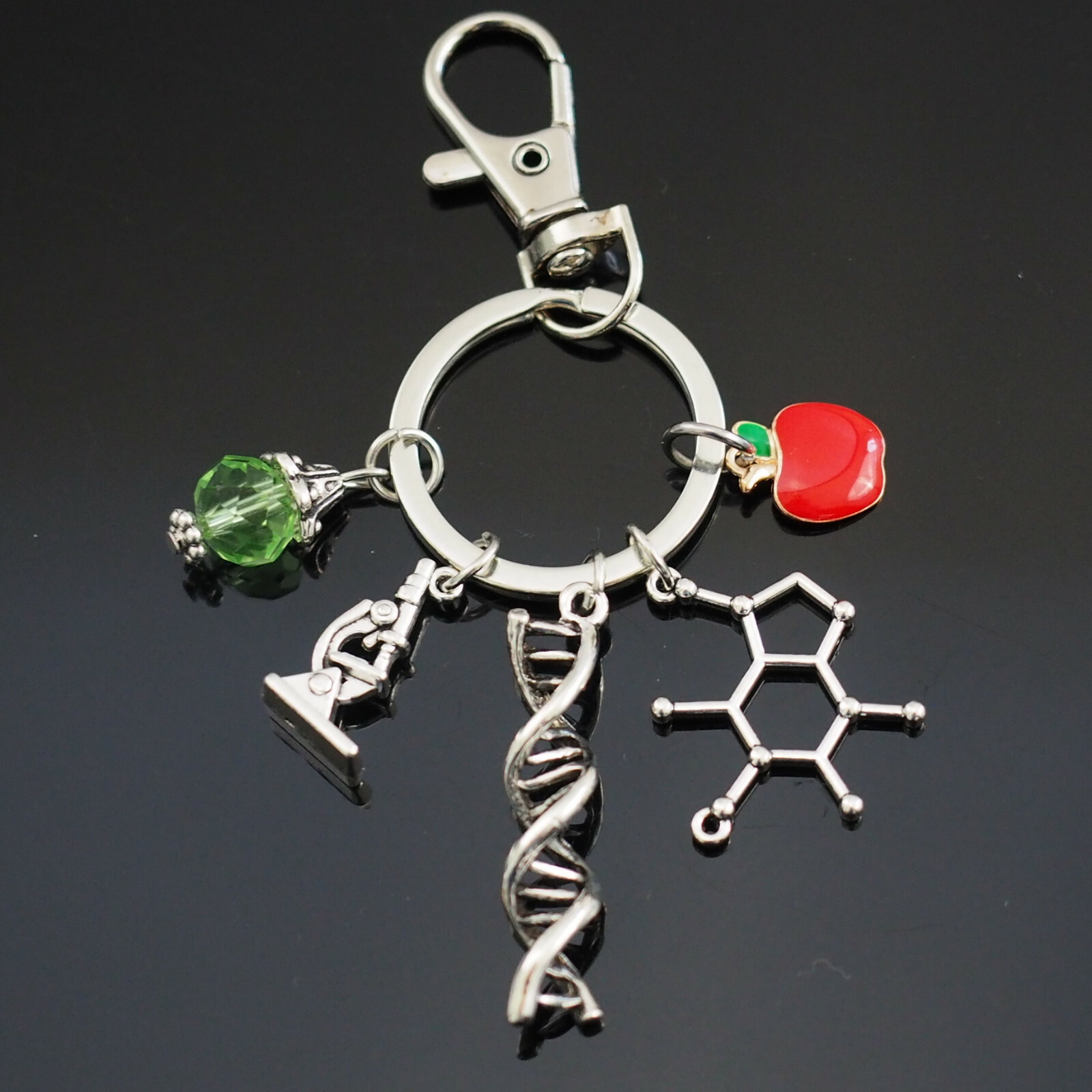 Science Clip Keychain Biology DNA Microscope Molecule Apple – Teacher Gift