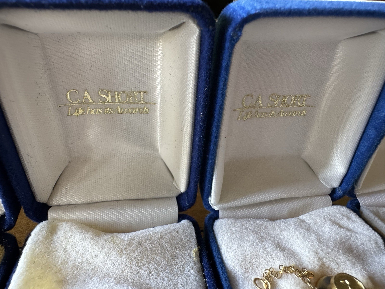 Anniversary Dangle Pins Years 5 Through 10