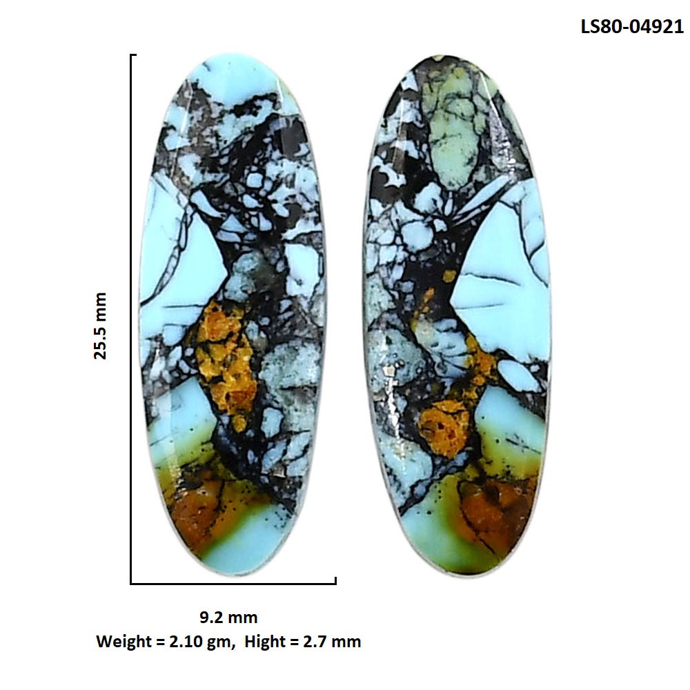 Lucky Charm Tibetan Turquoise Pair 9.2×25.5×2.7mm Oval Shape Gemstone LS80-04921
