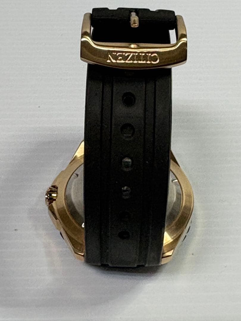 Citizen Promaster Diver Eco-Drive E168-003FR08 BN0196-01L Watch 200m