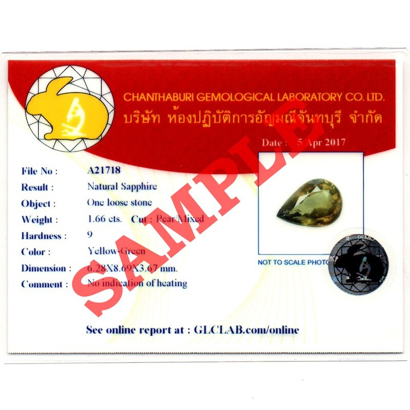 GLC Chanthaburi Gemological Laboratory Brief Report With Photo x10 (service)