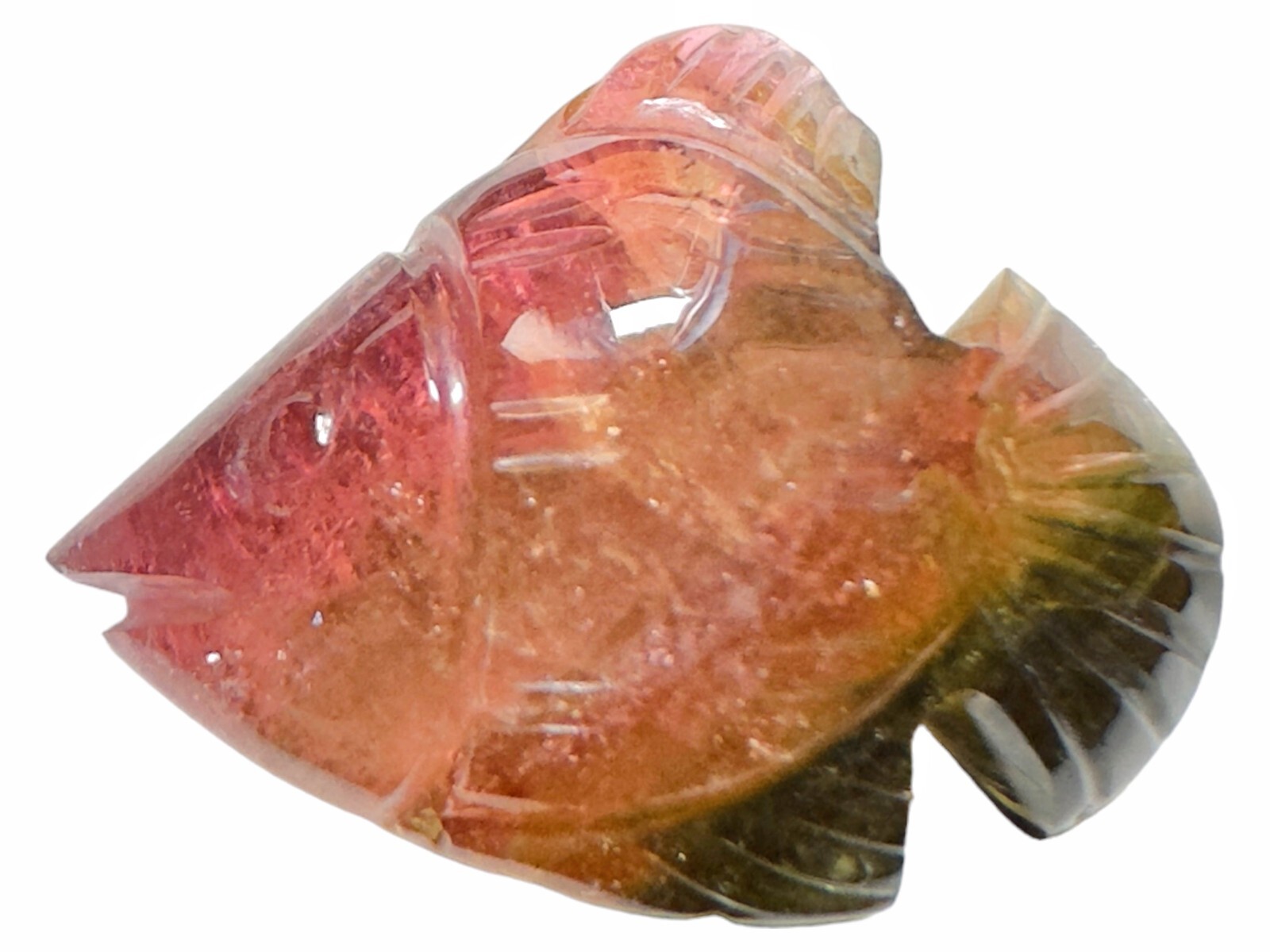 Tourmaline fish carvings, Tourmaline carved fish, Bicolor tourmaline carvings, F
