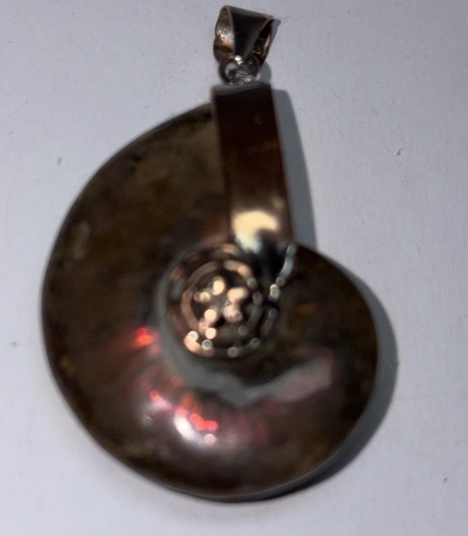 2” Fossil Rainbow Ammonite Pendant Set In Copper